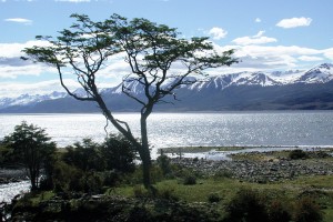 Patagonia2